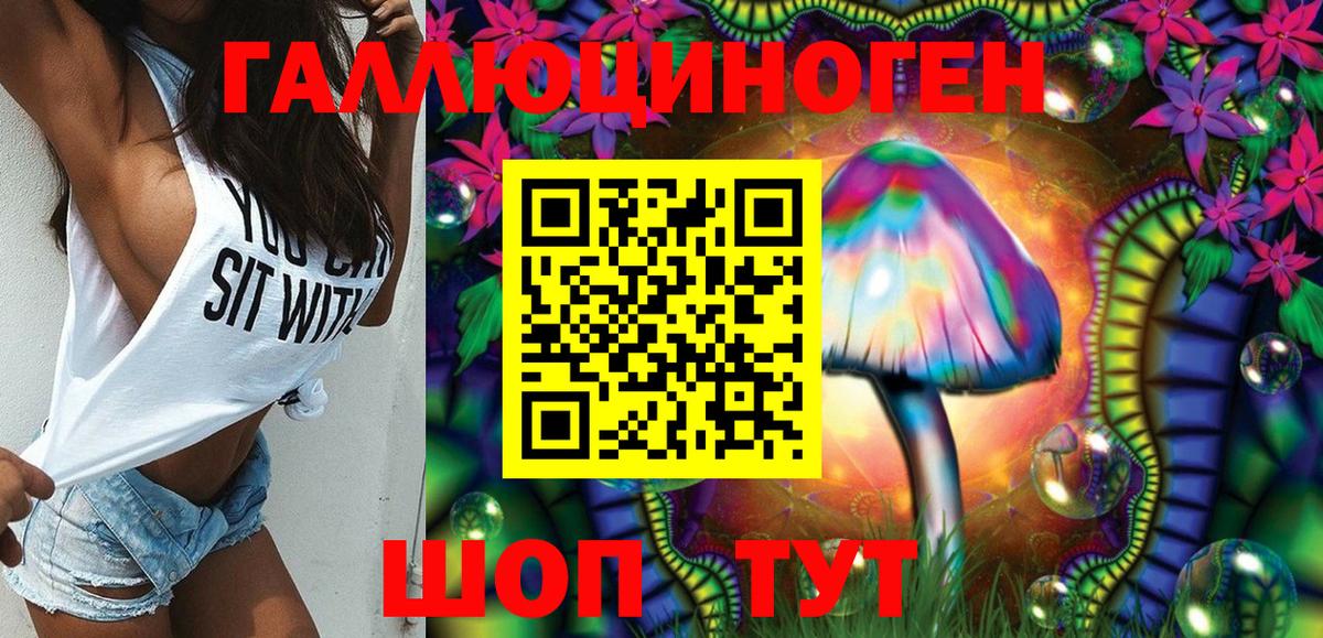Псилоцибиновые грибы Psilocybe Джанкой